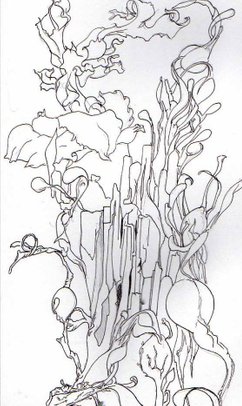Pen and ink sketch of seaweed